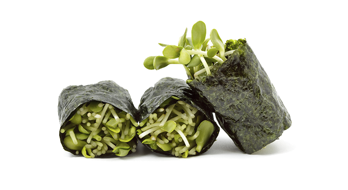 Petites feuilles d'algue nori salées - 61g - Shio nori - iRASSHAi